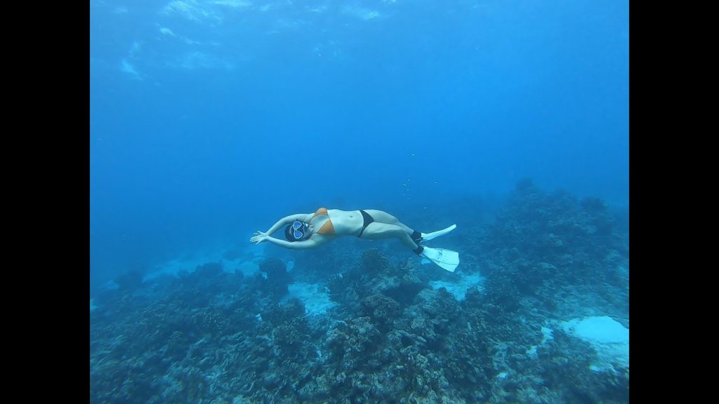 싸이판 바다에서 거북이와 프리다이빙! 포비든 아일랜드 트레킹! Freediving with turtles in Saipan Ocean! 싸이판 바다에서 거북이와 프리다이빙! 포비든 아일랜드 트레킹! Freediving with turtles in Saipan Ocean!