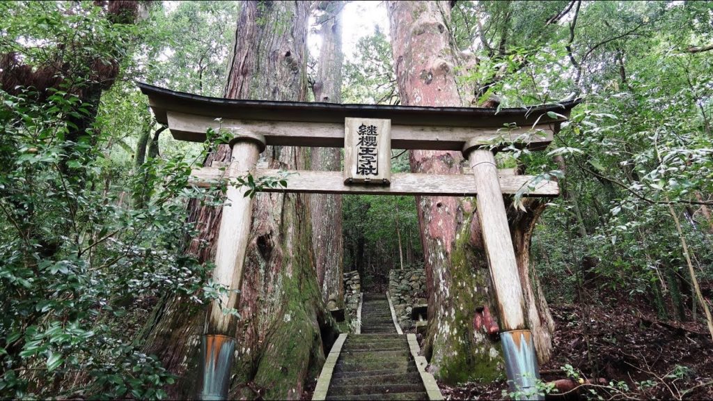 My Japan Odyssey 2019 - Day 5 - 08/24/2019