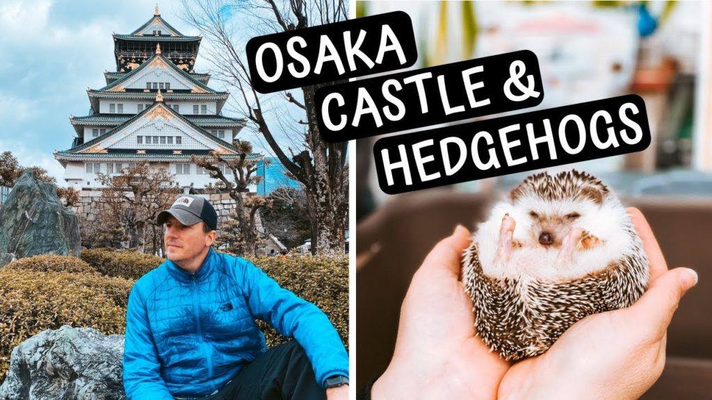 Things you MUST DO in OSAKA JAPAN | Osaka Castle, Hedgehogs, Dotonbori, & Tsutenkaku Tower Things you MUST DO in OSAKA JAPAN | Osaka Castle, Hedgehogs, Dotonbori, & Tsutenkaku Tower