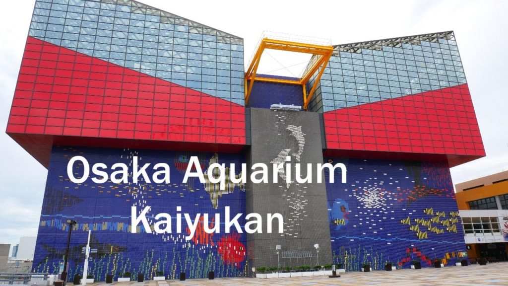 Check out incredible Osaka Aquarium Kaiyukan | Am i in the ocean?