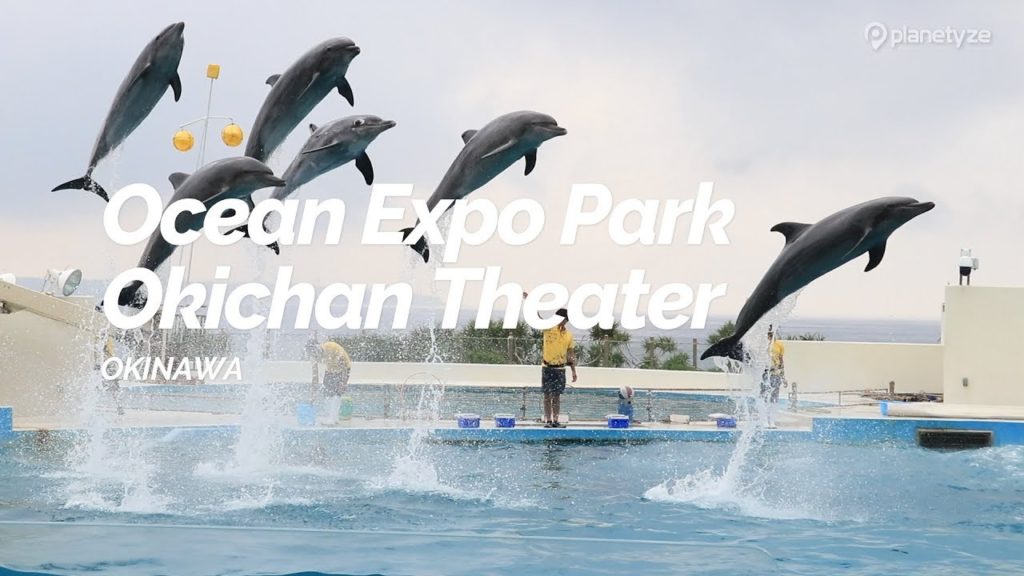 Ocean Expo Park Okichan Theater, Okinawa | Japan Travel Guide Ocean Expo Park Okichan Theater, Okinawa | Japan Travel Guide