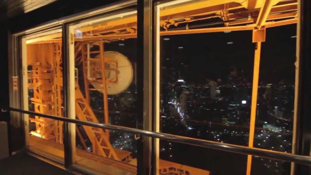 Seeing Tokyo Tower