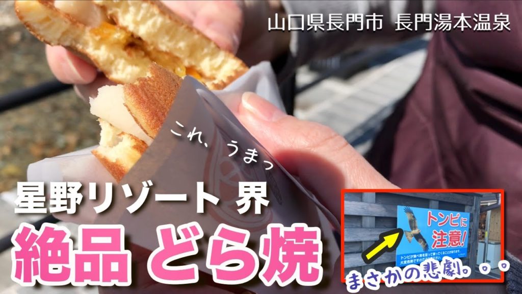 【Vlog】星野リゾート 界 長門の絶品どら焼を食べにドライブ！青い海広がる道の駅と歴史ある大寧寺、そしてトンビ！？