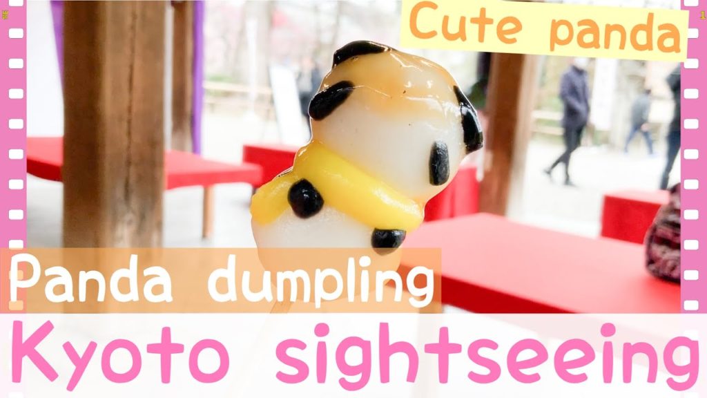【2020 Recommended Kyoto Travel guide】kyoto Trip/kyoto Lunch gourmet/Japan Travel/Panda walk