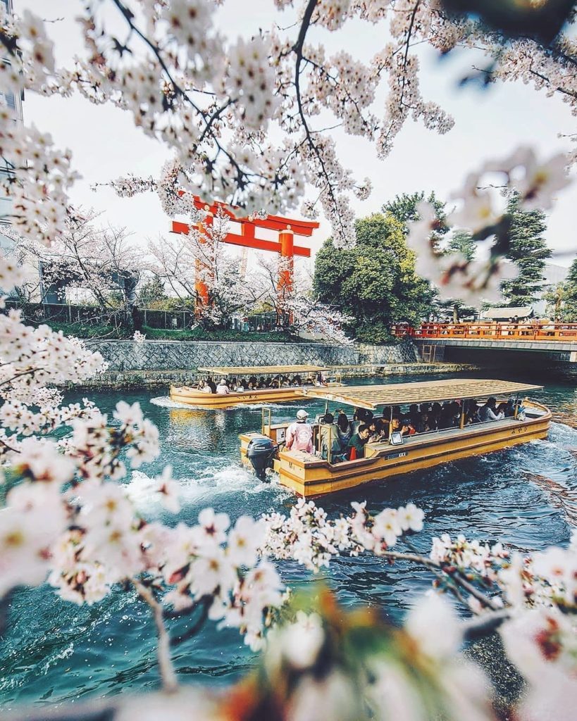 Visit Japan: If you’re heading to Kyoto for sakura season, don’t miss out on taking part in a… If you're heading to Kyoto for sakura season, don't miss out on taking part in a...