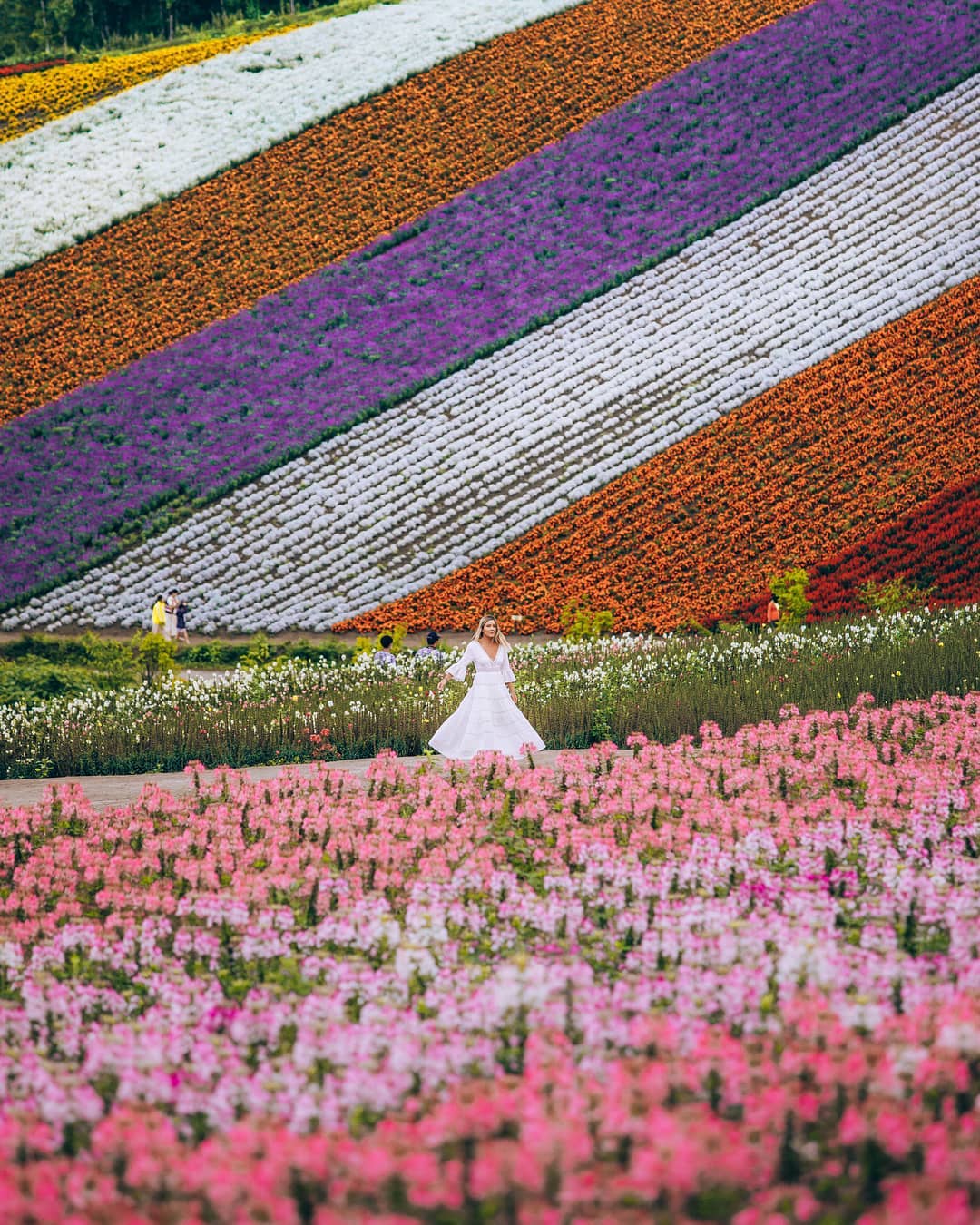 Visit Japan Flowers for days! Shikisainooka Hill is one of Hokkaido