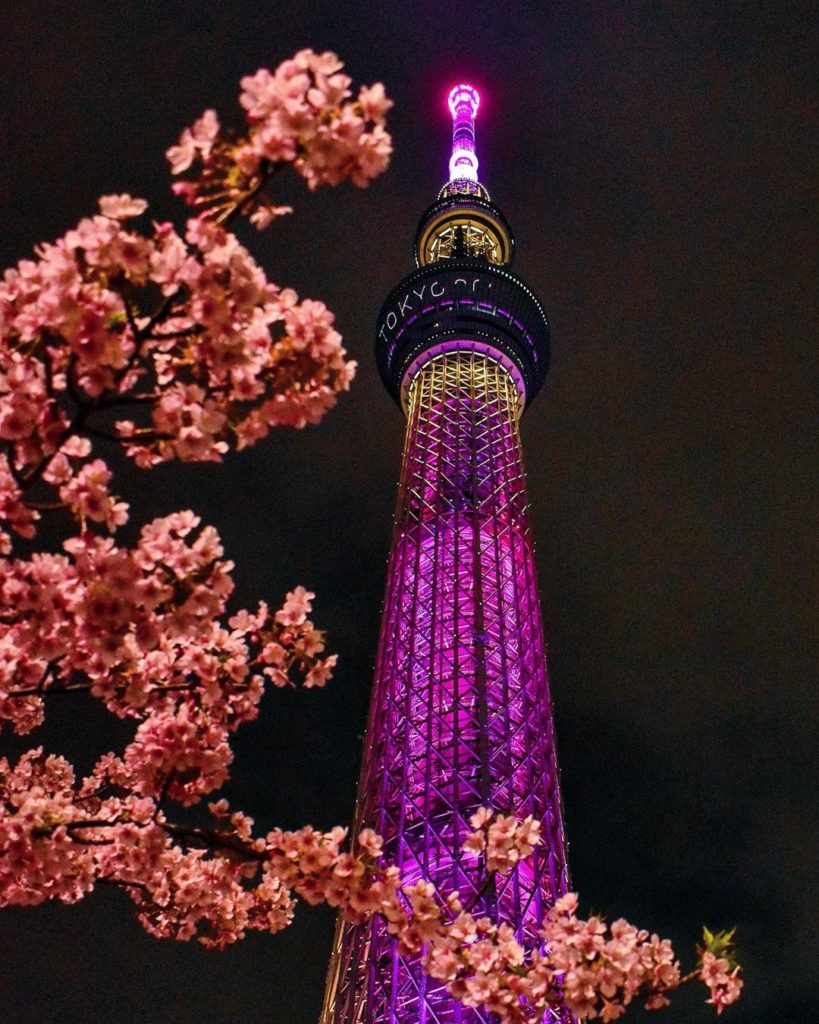 Tokyo Skytree and cherry blossoms 
#UnitedbyEmotions...