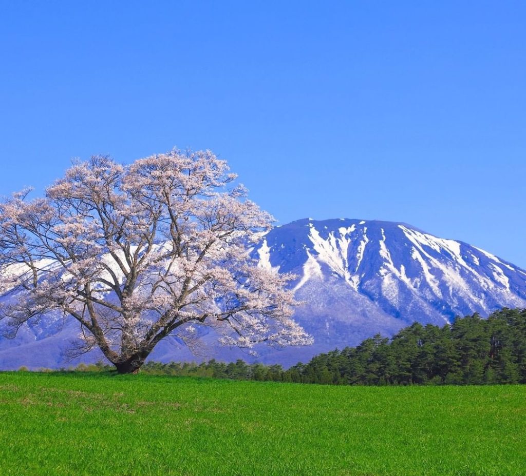 Do Anne of Green Gables and Little House on the Prairie  make your heart race? T...