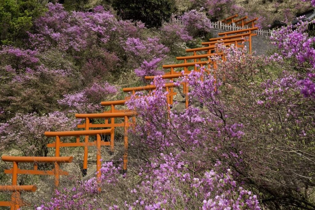 Shiizaki Inari Shrine is a hidden gem near Amanohashidate, with a series of oran...