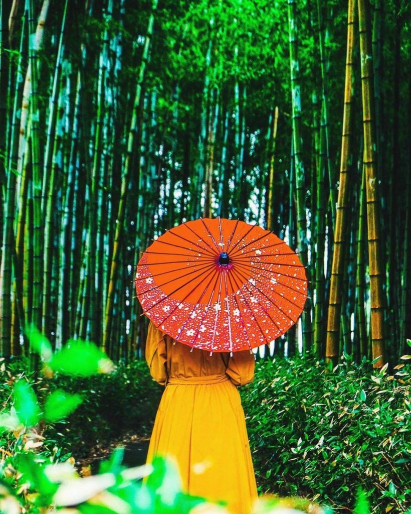 Japan Travel: You might think this is Arashiyama’s Bamboo Grove in Kyoto, but spoiler alert: i… You might think this is Arashiyama's Bamboo Grove in Kyoto, but spoiler alert: i...