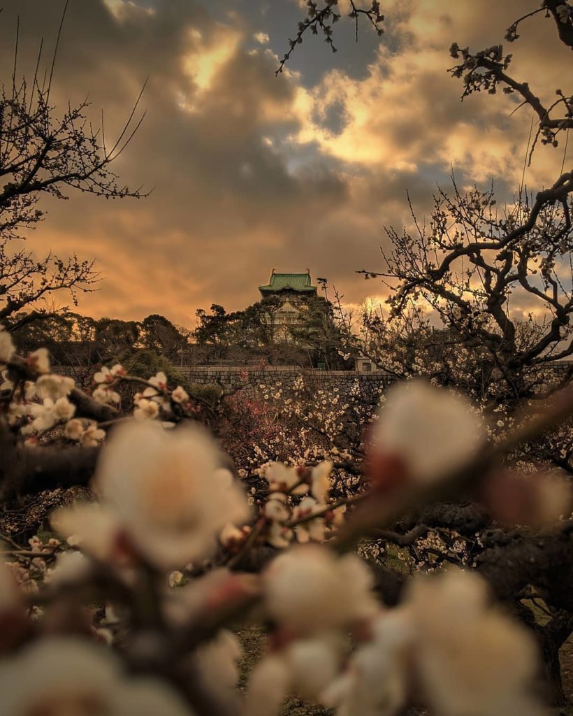 Shhhhhh 

Find a peaceful perspective when you #VisitJapan 
Reposted from @rayja...