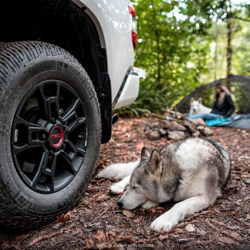 Dream up the next adventure...  @loki #Tundra #LetsGoPlaces...