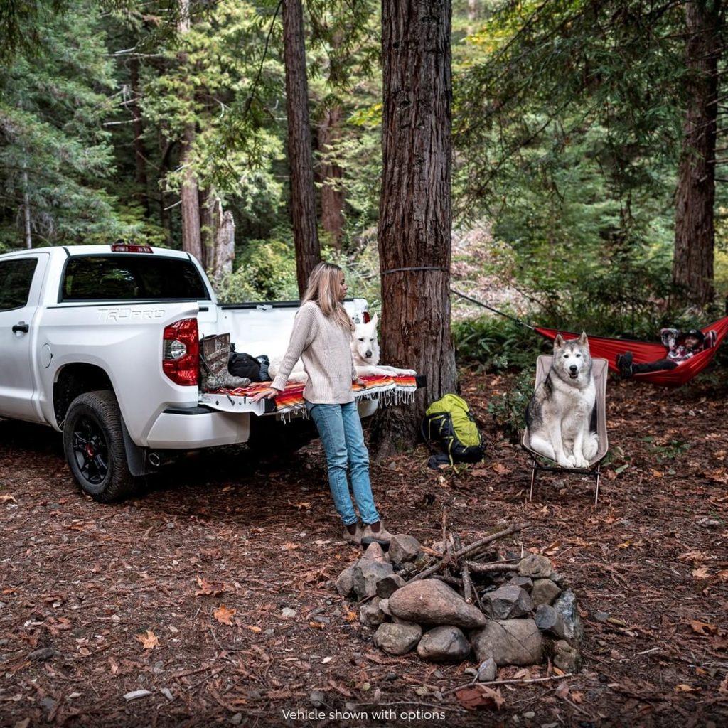 "Where to next?" - @loki #Tundra #LetsGoPlaces...