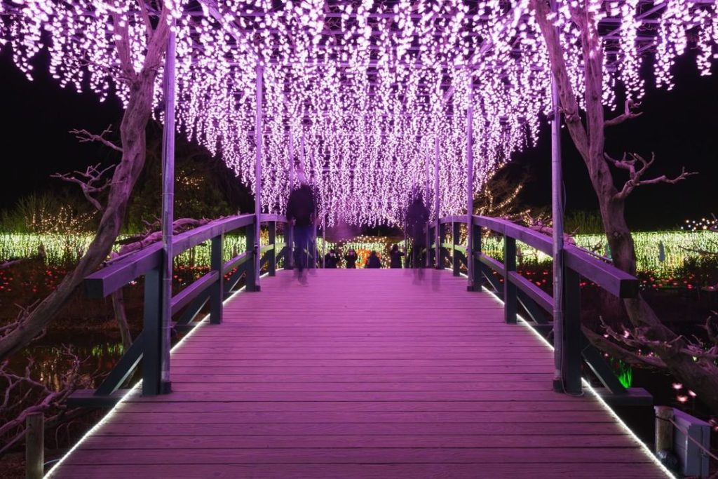 Visit Japan: Ashikaga Flower Park is an overwhelming experience of sight and scent that the w… Ashikaga Flower Park is an overwhelming experience of sight and scent that the w...