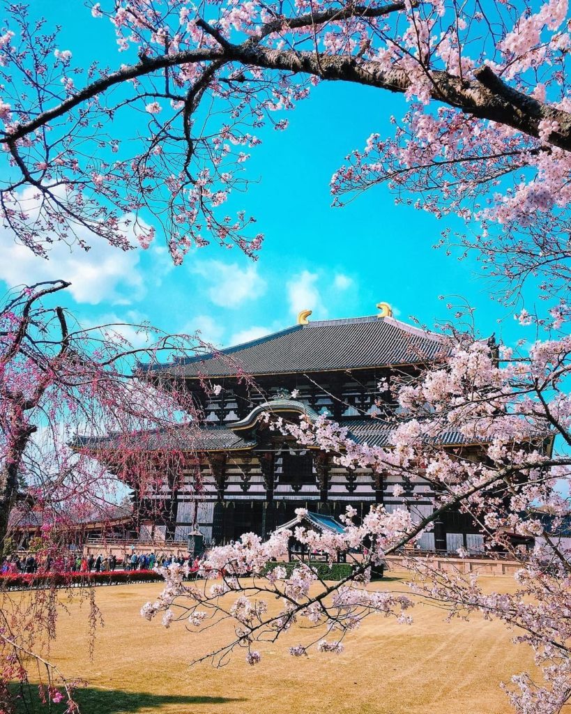 Japan Travel: Mother Nature is always wearing the perfect accessory
: @takahiro0220
—–⠀
#… Mother Nature is always wearing the perfect accessory
: @takahiro0220
-----⠀
#...