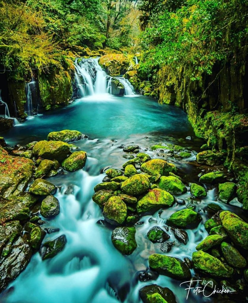 Visit Japan: Located in Kumamoto Prefecture on Japan’s southern island of Kyushu, Kikuchi Gor… Located in Kumamoto Prefecture on Japan's southern island of Kyushu, Kikuchi Gor...