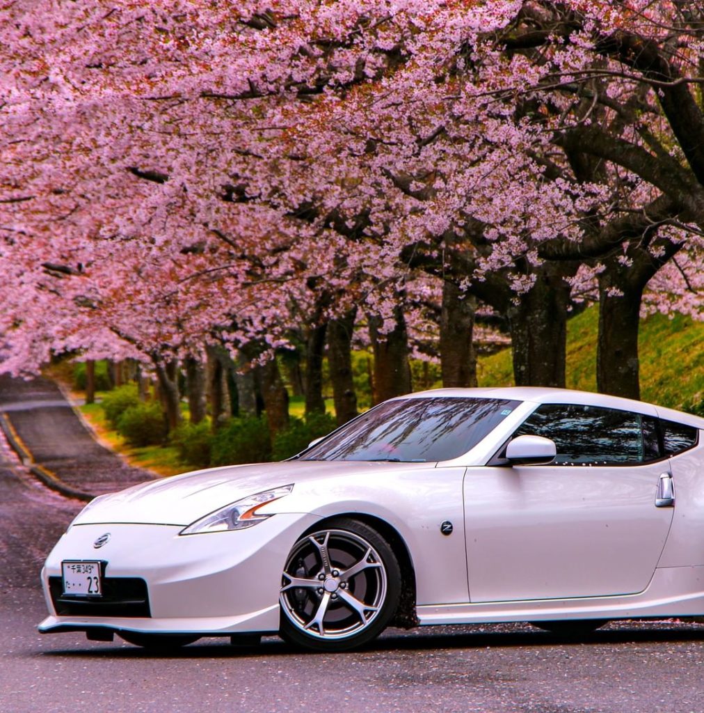 #Sakura is coming! #Nissan #Nissan370Z  @shinya.z34...