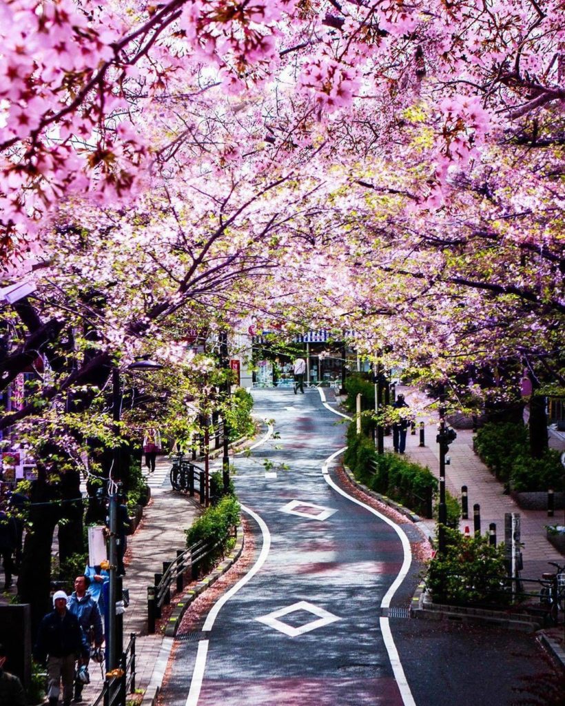 The twists and turns of this street in Tokyo's Shibuya area provide a fun man-ma...