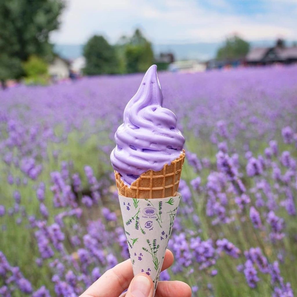 Visit Japan: YUM! Anyone else love a bite of this drool-worthy lavender cone?! This deliciou… YUM! Anyone else love a bite of this drool-worthy lavender cone?! This deliciou...