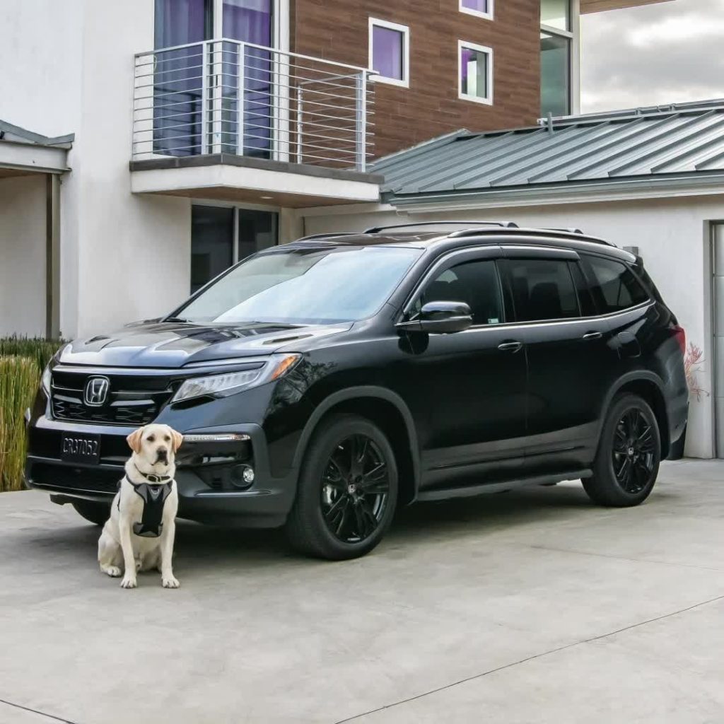 What could be cuter than a Honda Pilot Black Edition and a puppy together? Happy...