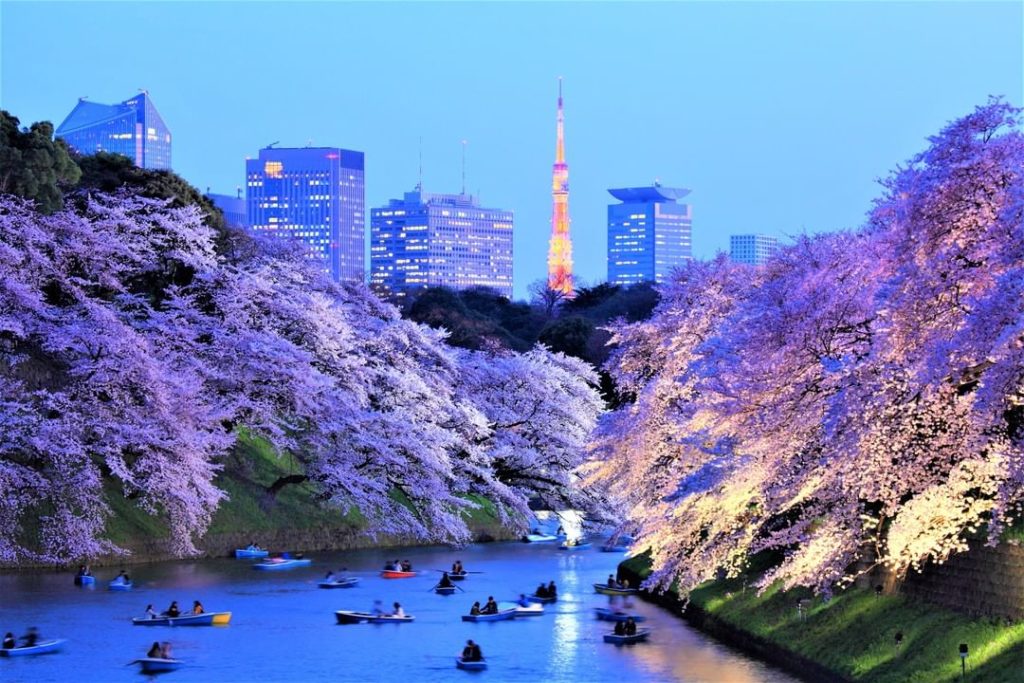 Visit Japan: STROLL ALONG EDO CASTLE’S MOAT
The name of this moat northwest of the Imperial P… STROLL ALONG EDO CASTLE'S MOAT
The name of this moat northwest of the Imperial P...