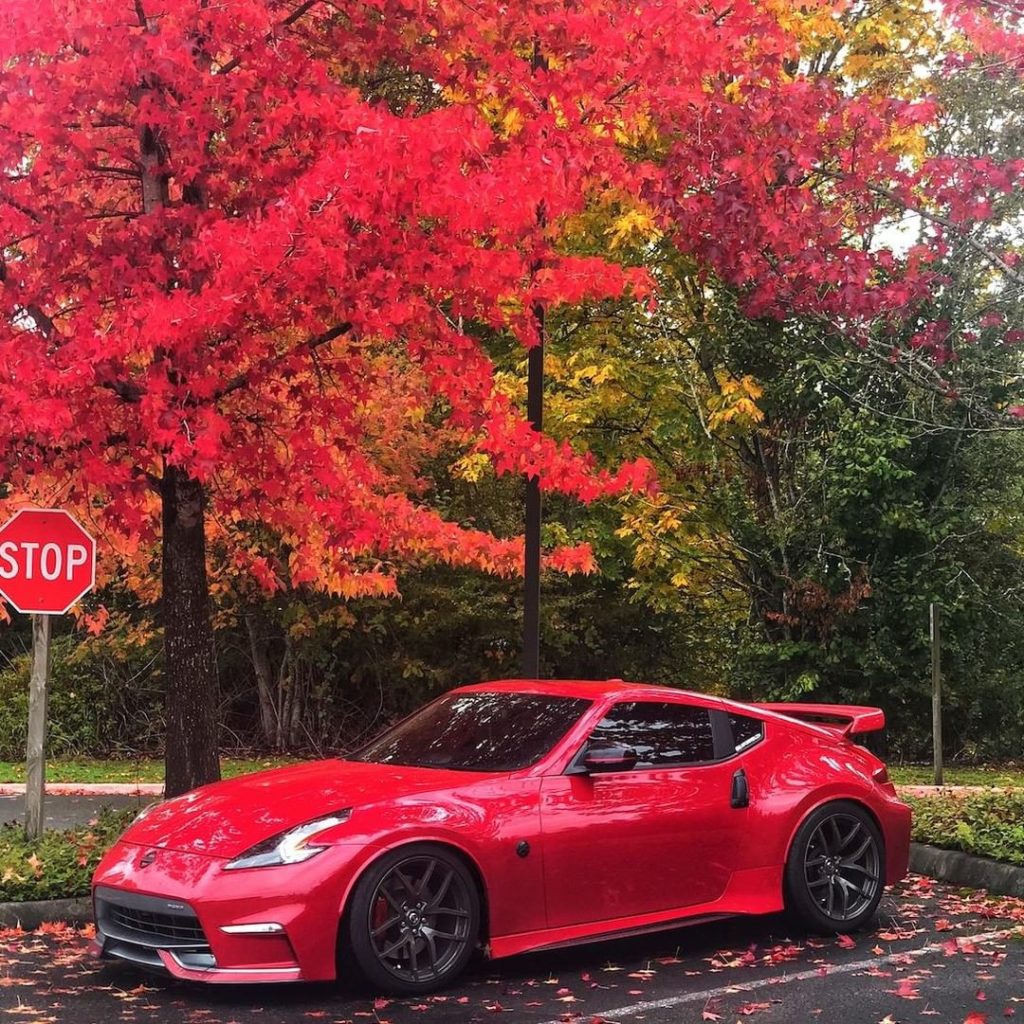 So beautiful it needs to be framed #Nissan #370Z
 @lady.driven.z34...