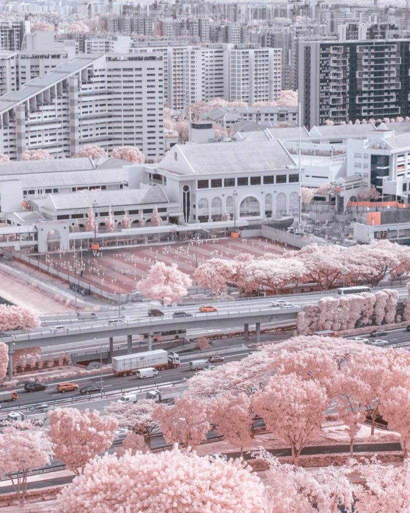 Before I visit Singapore, I've no idea that there are countries with no seasons...