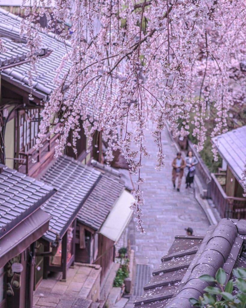 The change of seasons is a great reminder that difficult times pass, and with th...
