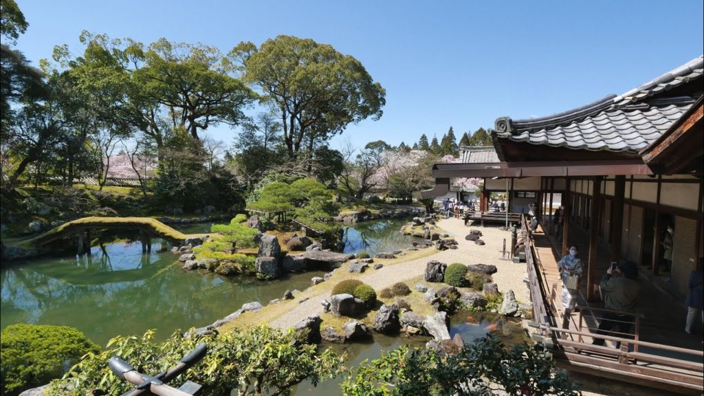 JG☆☆☆☆☆8K HDR Kyoto,Daigoji Sanpoin,Ultra Stunning Hanami Garden by Taiko Hideyoshi (World Heritage)