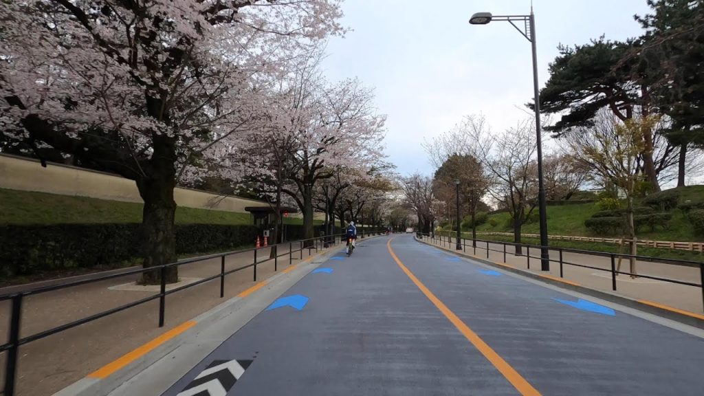 SAKURA CHERRY BLOSSOMS - Kersenbloesem in Japan - TOKYO 2020 4K DRIVE