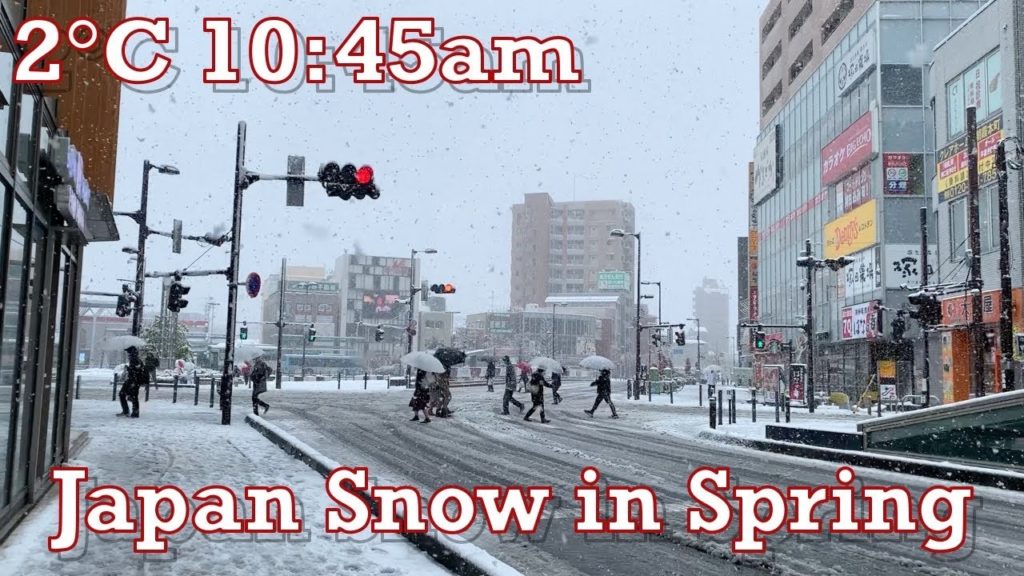 Japan Rare Snow in Spring 2020.03.29 10:45am 2°C Freezing Ambient Sound Relax Sleep Meditate Focus Japan Rare Snow in Spring 2020.03.29 10:45am 2°C Freezing Ambient Sound Relax Sleep Meditate Focus