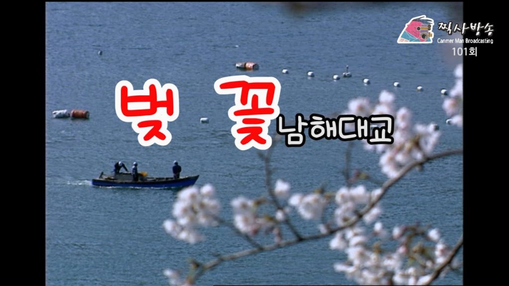 벚꽃 남해대교  찍사방송 102회