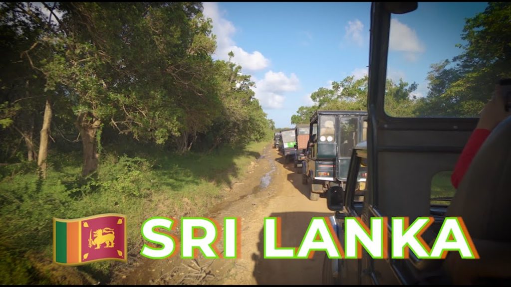 Sri Lanka's Best Safari Yala National Park 🇱🇰