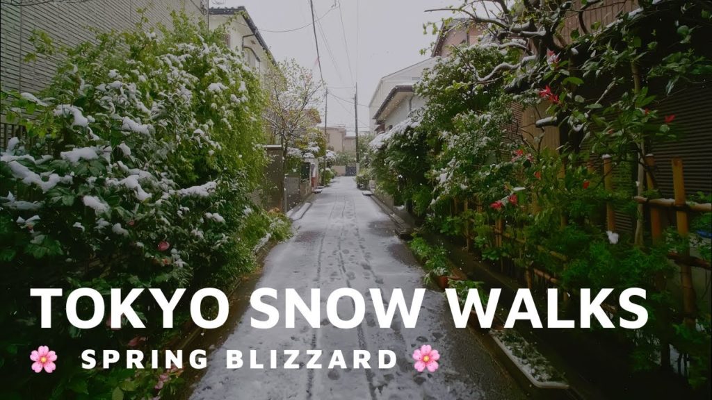 【4K】Tokyo Snow Walks - Spring Blizzard - Meguro, Tokyo, Japan - 2020 - 東京目黒