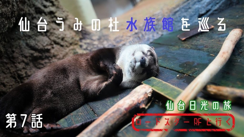 【旅動画/ロードスター】仙台うみの杜水族館を巡る