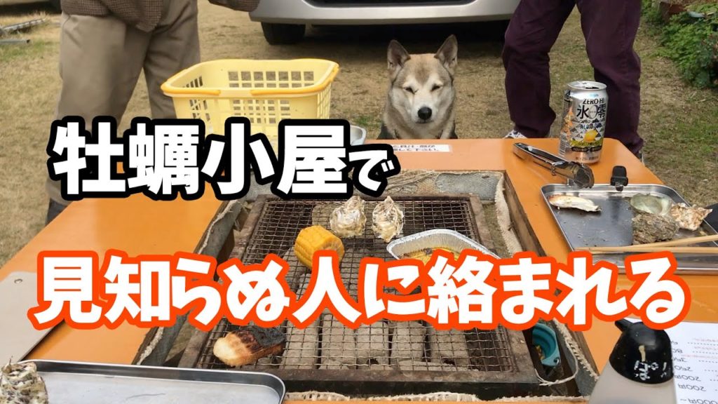 【わんこと牡蠣小屋🐕】牡蠣を食べてたら見知らぬ人に絡まれた犬と飼い主💦2019年12月Spending time with your dog in the oyster hut