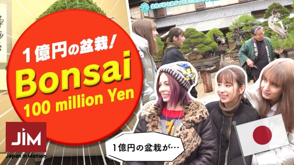 日本に住んでる外国人に密着!盆栽を学ぶポーランド人編【Japan in Motion 2019 #36 】 日本に住んでる外国人に密着!盆栽を学ぶポーランド人編【Japan in Motion 2019 #36 】