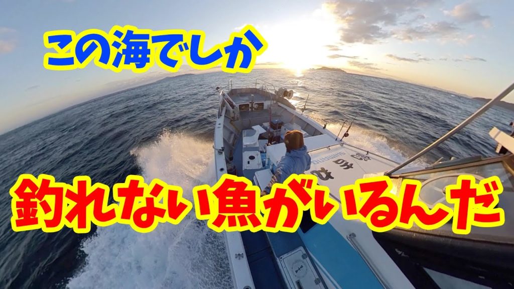 【釣った魚を船の上で捌いて食べる🎣】大分でしか釣れない魚🐟2019年12月Catch and eat fish that can only be caught in Oita