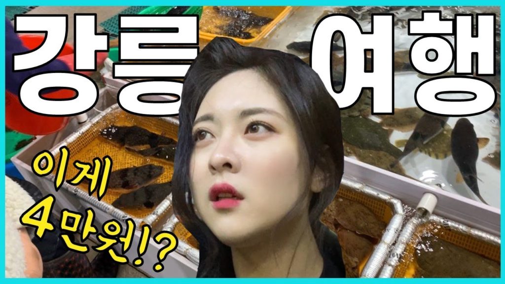 강릉여행 브이로그ㅣ에어비앤비 성공적🏡/수산시장이 미쳤어요/강릉 맛집들 :-) 강릉여행 브이로그ㅣ에어비앤비 성공적🏡/수산시장이 미쳤어요/강릉 맛집들 :-)