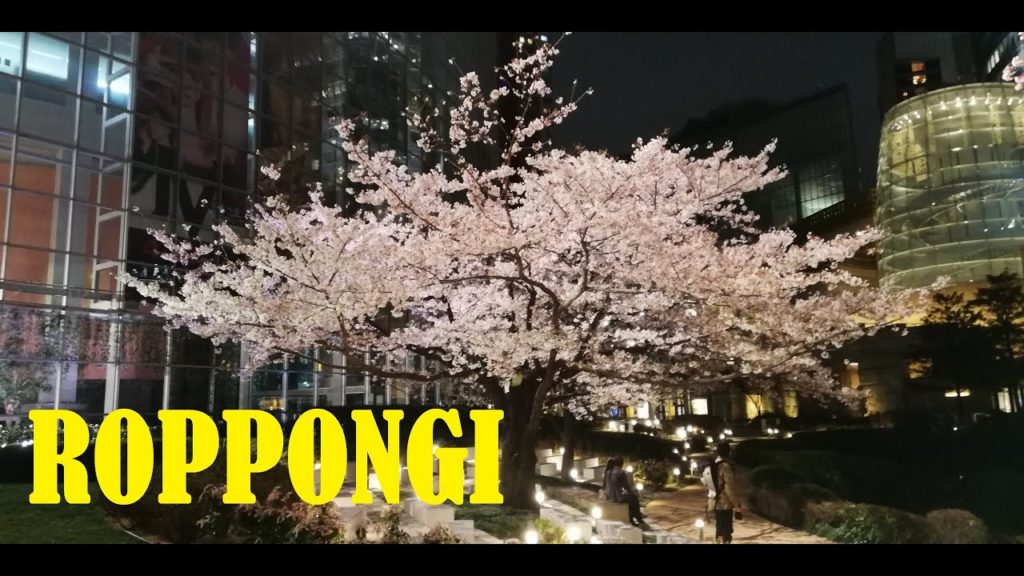東京花見シリーズ2020 六本木｜Japan Cherry-blossom viewing in Roppongi, Tokyo 2020