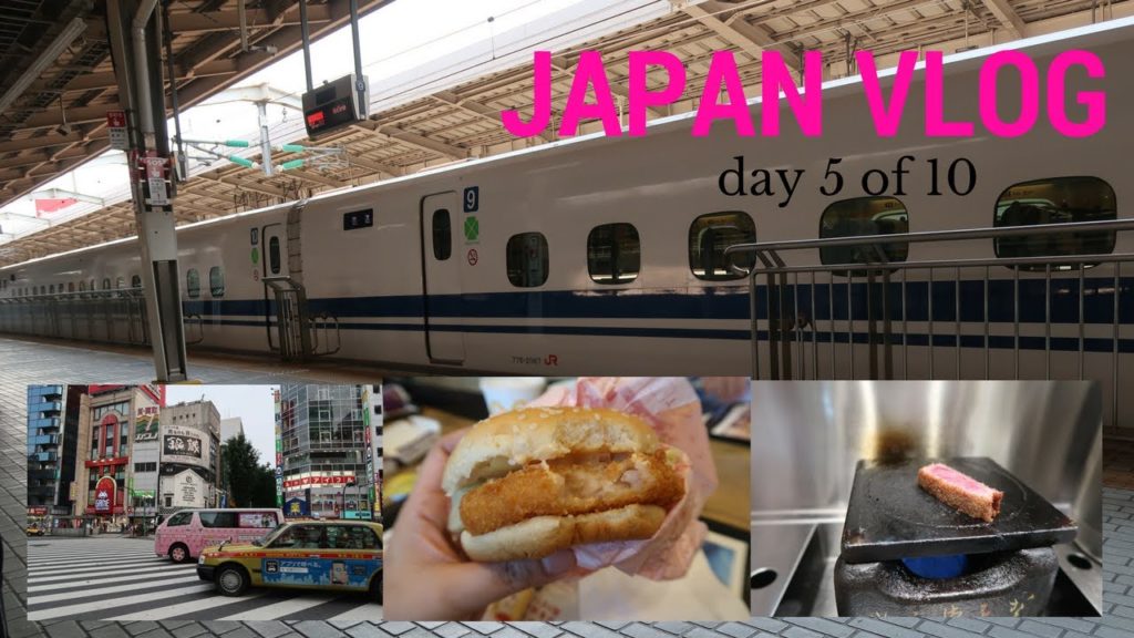 Riding the Shinkansen Tokyo-bound, Seeing Mt. Fuji, And the Usual Suspects | Japan Vlog Day 5