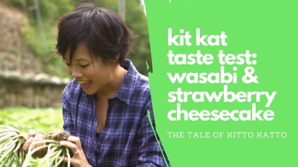 Wasabi & Strawberry Cheesecake Kit Kat | The Tale of Kitto Katto