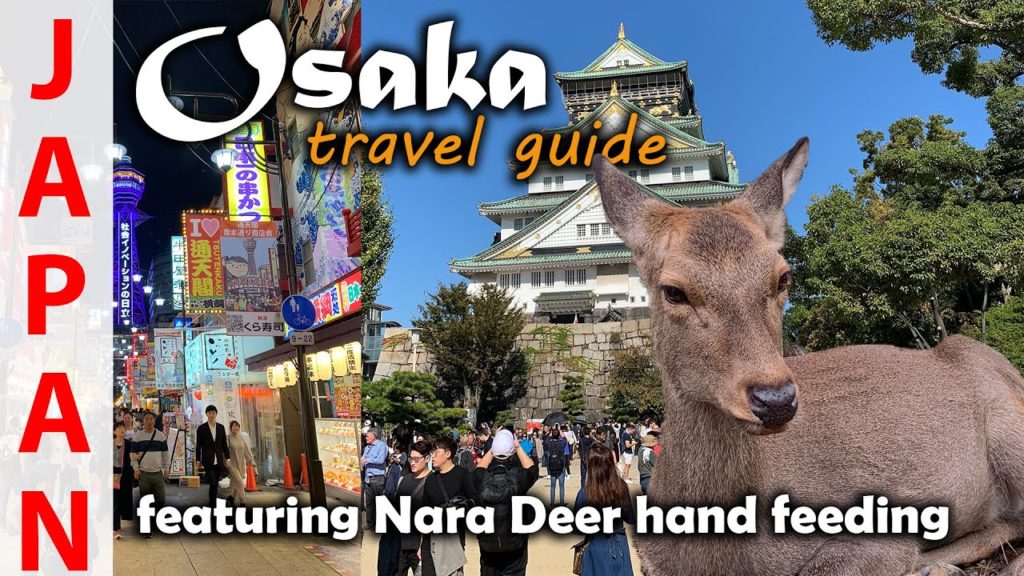 Things to do in Osaka - Japan - Nara Deer Park - Travel Guide Part 1
