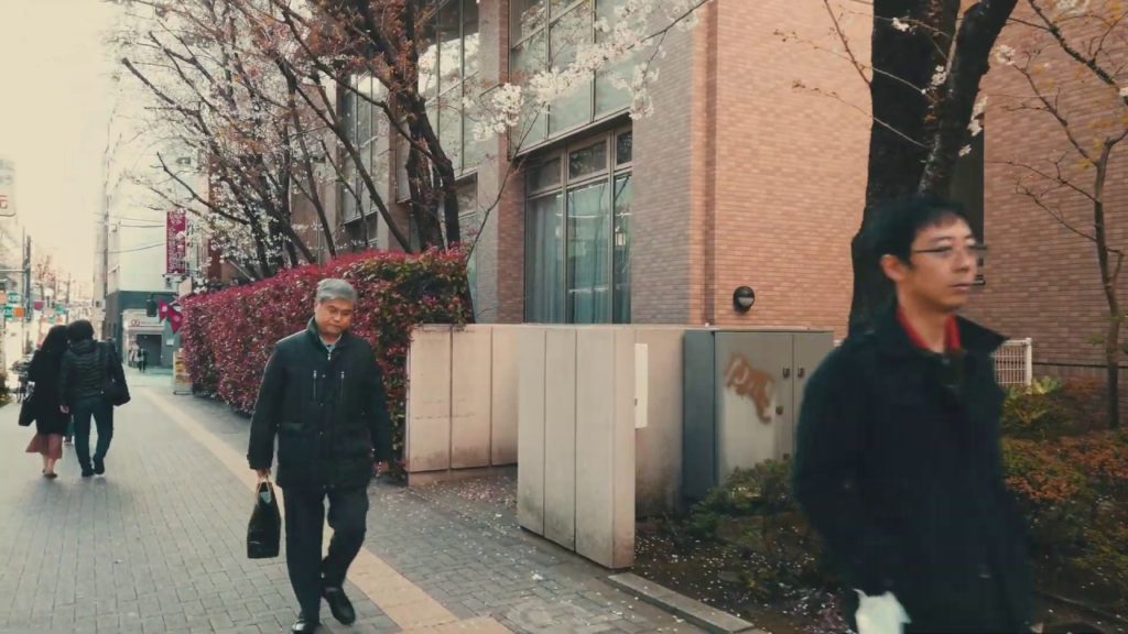 Walking from Shibuya Hatagaya City to Shibuya Sasazuka City in Tokyo Japan | Osmo Pocket 4k Walking from Shibuya Hatagaya City to Shibuya Sasazuka City in Tokyo Japan | Osmo Pocket 4k