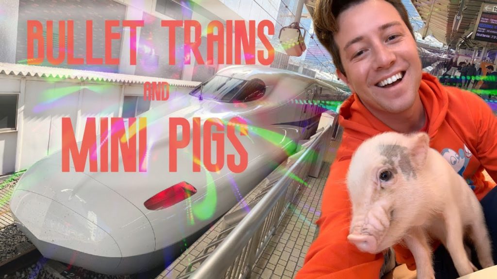 Bullet Trains and Mini Pigs! Tokyo Day Two | Tenani
