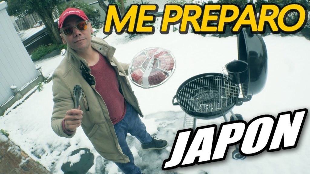 EL GOBIERNO en TOKIO NOS PIDIO NO SALIR.