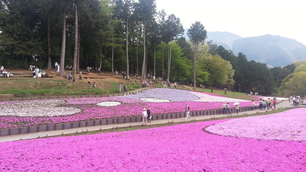 日本中部春日游 Spring Japan 2015 (A Trip to Central Japan)