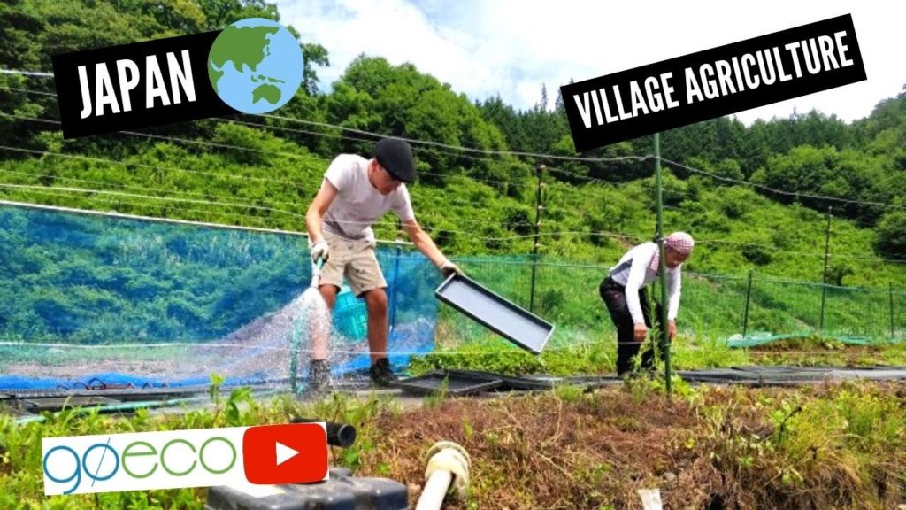 GoEco Volunteer VLOG Village Farming in JAPAN