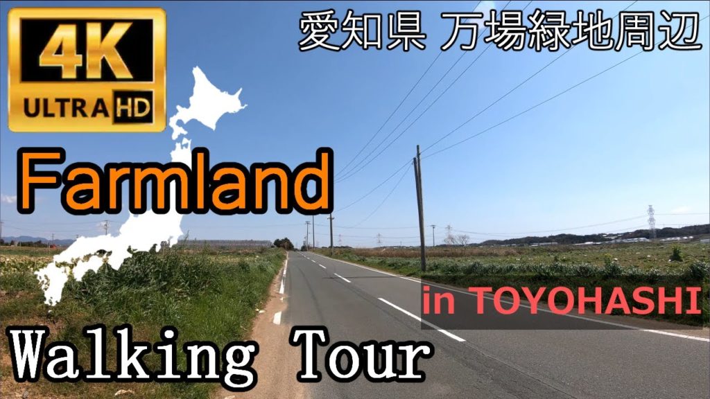 Farmland in AICHI | 愛知県の農地