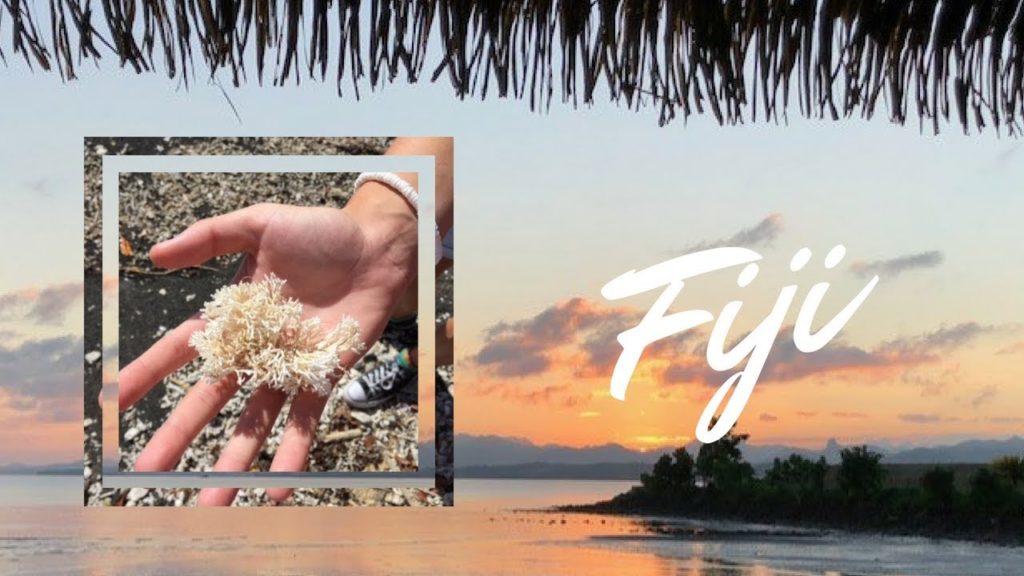 Fiji II Travel Vlog